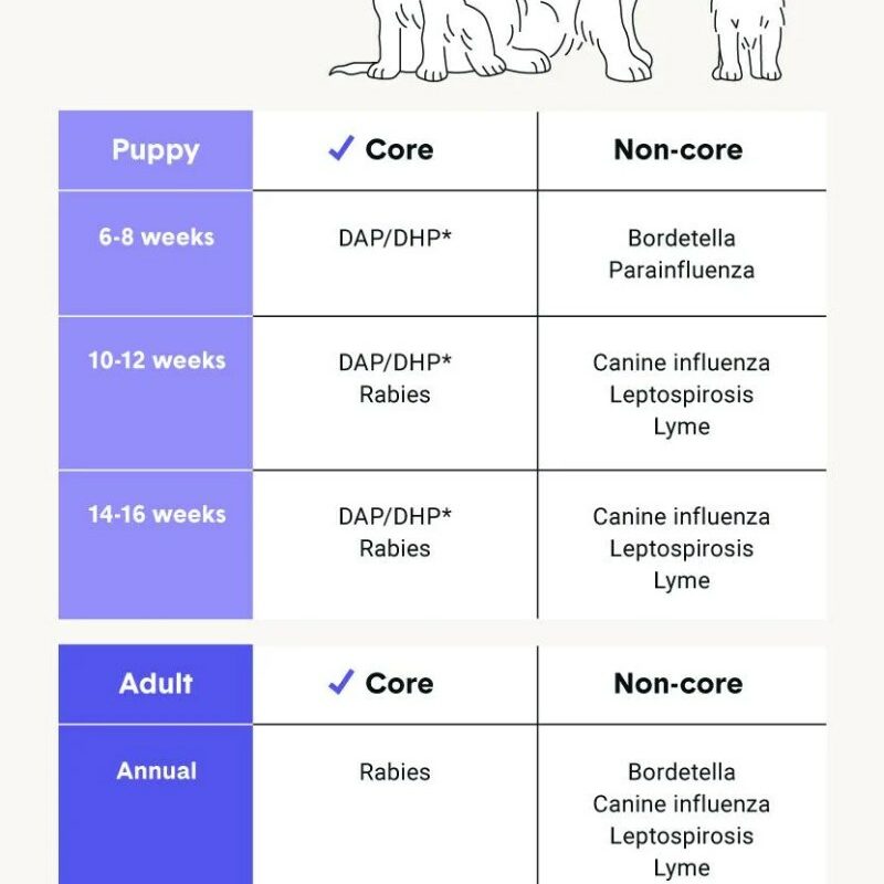 Dog Flu Vaccine Near Me