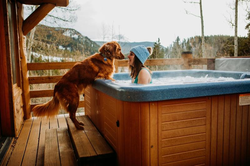 Dog Friendly Cabin York