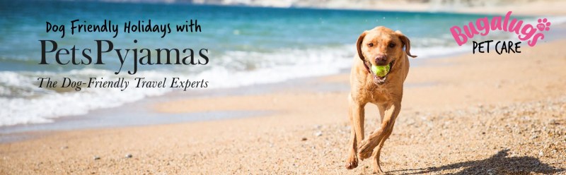 Dog Friendly Holidays By The Sea