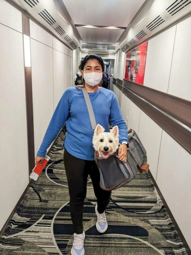 Dog-friendly Holidays By Train