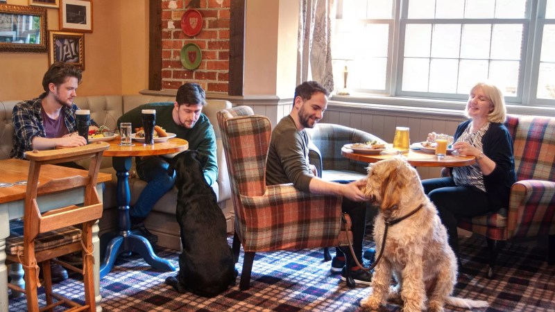 Dog Friendly Pubs Near Me That Serve Food