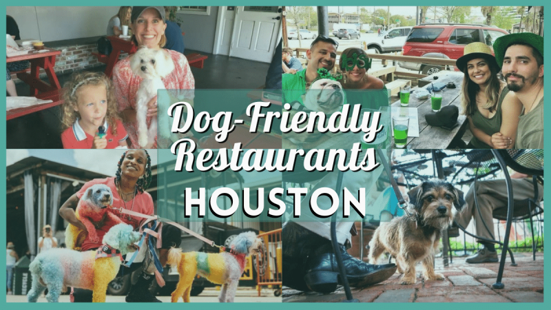 Dog Friendly Restaurants And Bars Near Me