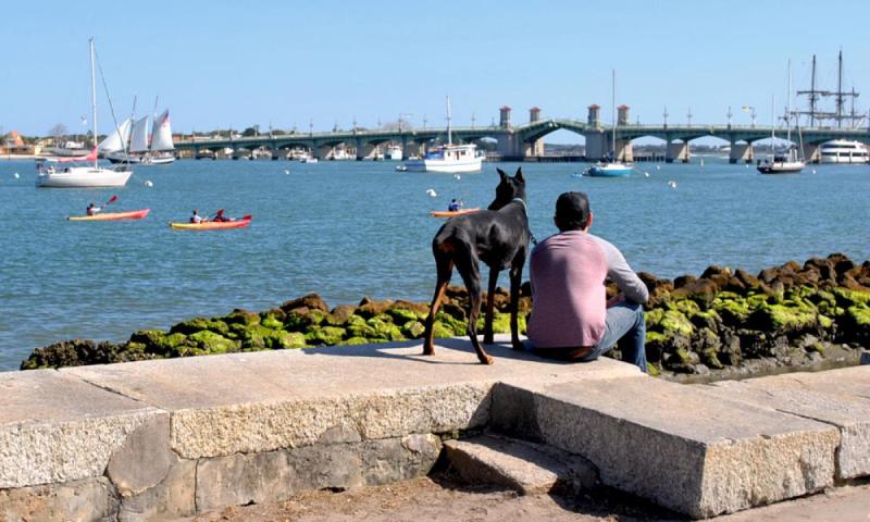 Dog Friendly Vacations Near Me For Couples