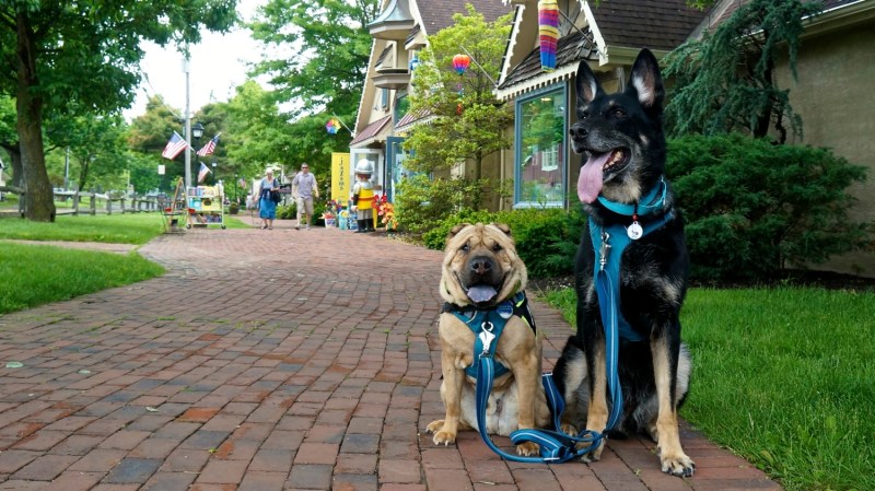 Dog Friendly Vacations Pennsylvania