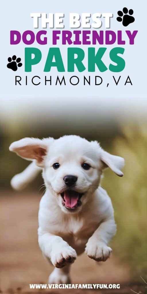 Dog Friendly Vacations Virginia