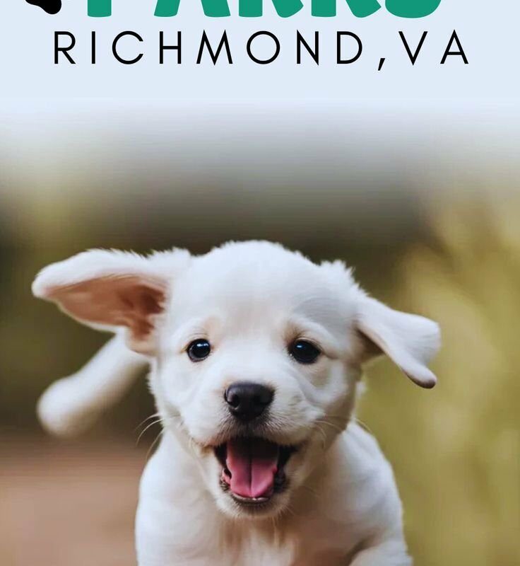 Dog Friendly Vacations Virginia