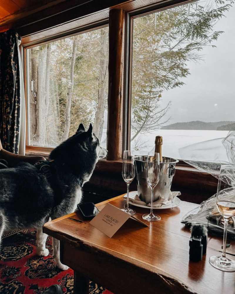 Dog-friendly Weekend Getaways East Coast