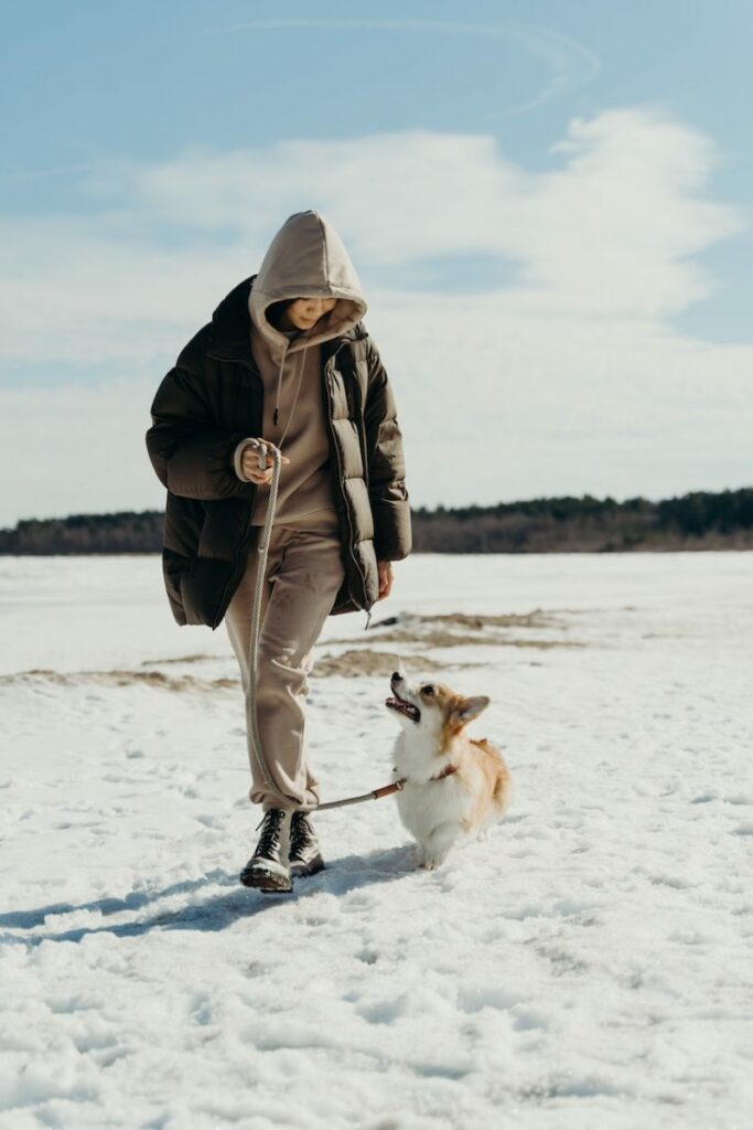 Dog-friendly Winter Getaways Near Me