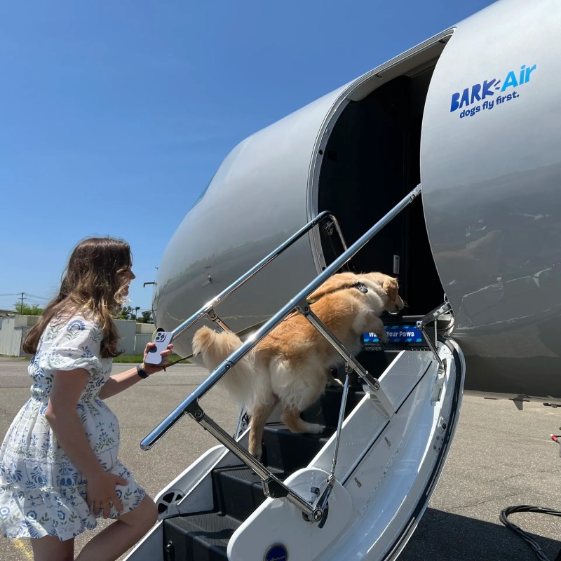 Luxury Vacations With Dogs