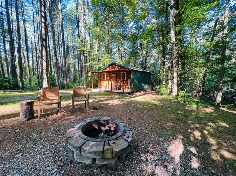 Pet Friendly Cabins For Rent Near Me