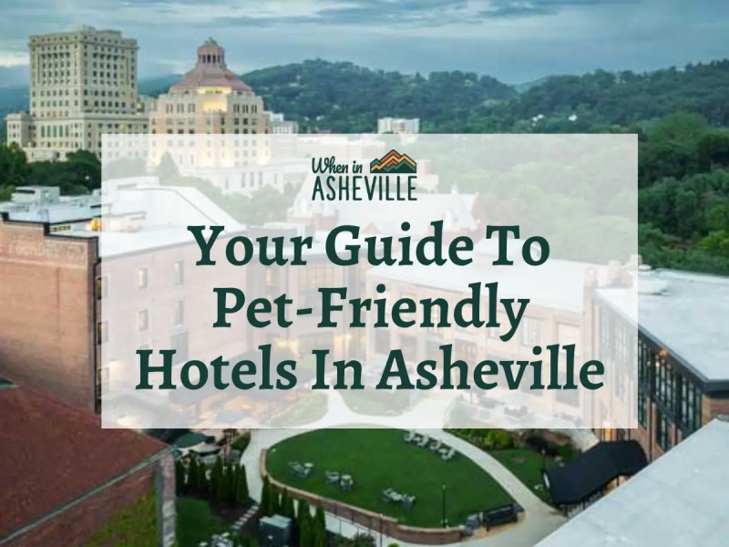 Pet Friendly Lodging Asheville Nc