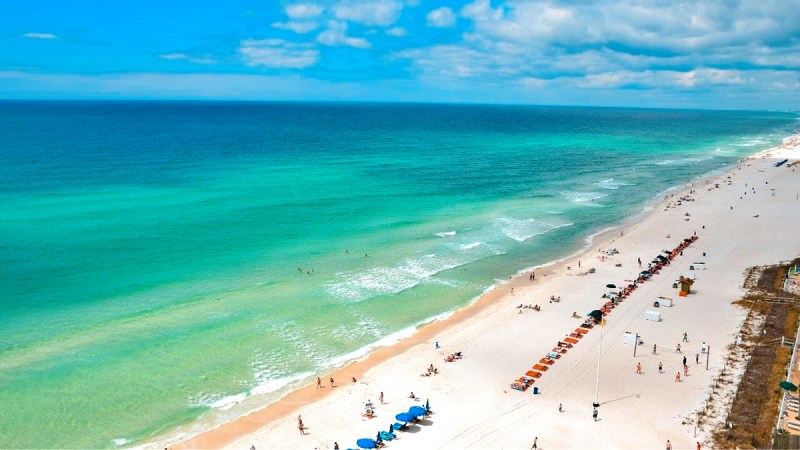 Pet Friendly Vacation Rentals Miramar Beach Fl