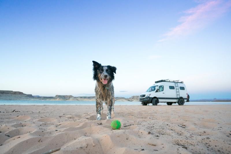 Vacation Ideas For Couples With Dogs