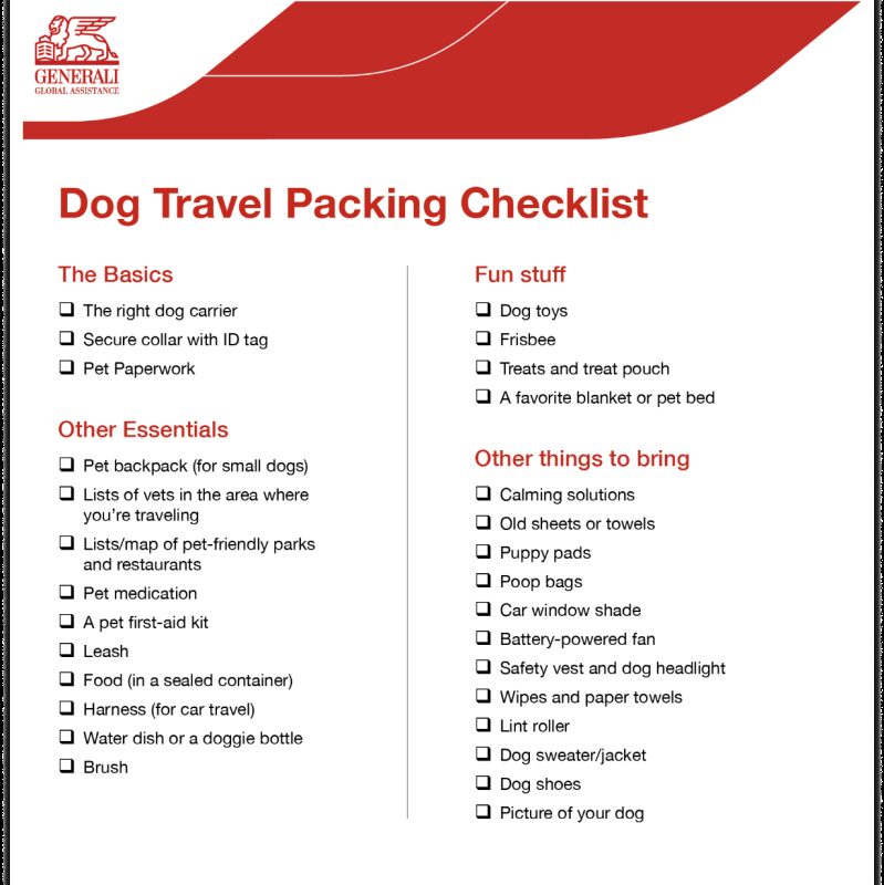 Vacation With Dog Packing List