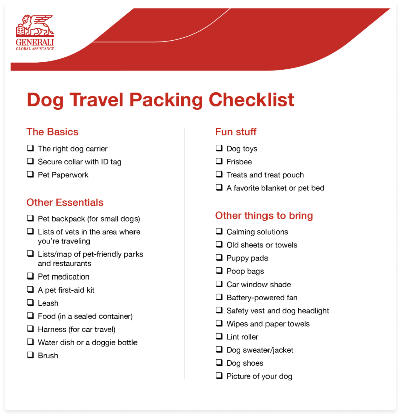 Vacation With Dog Packing List