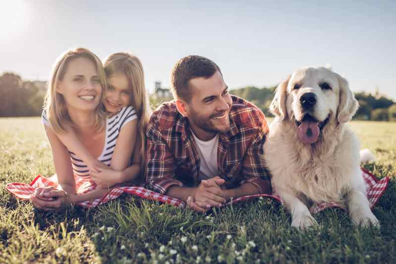 Dog Friendly Resorts Victoria