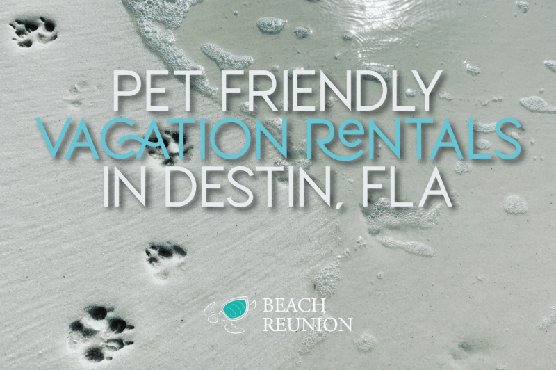 Vacation Rentals Destin Beach Fl Pet Friendly