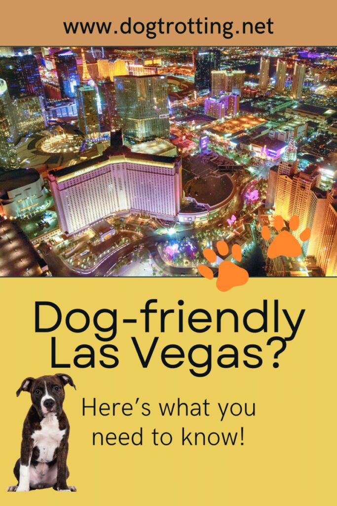 Best Pet Friendly Resorts Usa