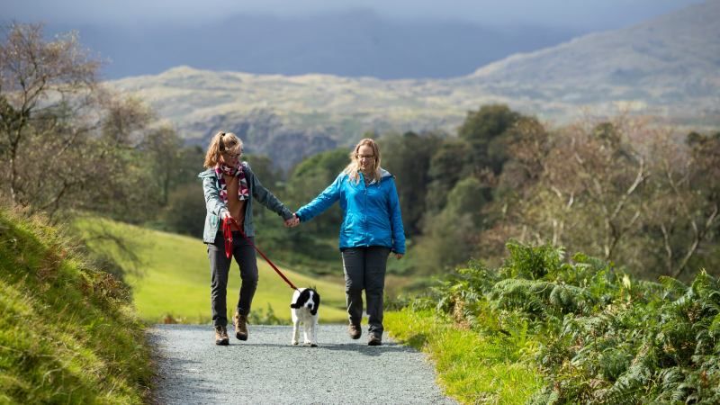 Best Dog Friendly Hikes Bay Area