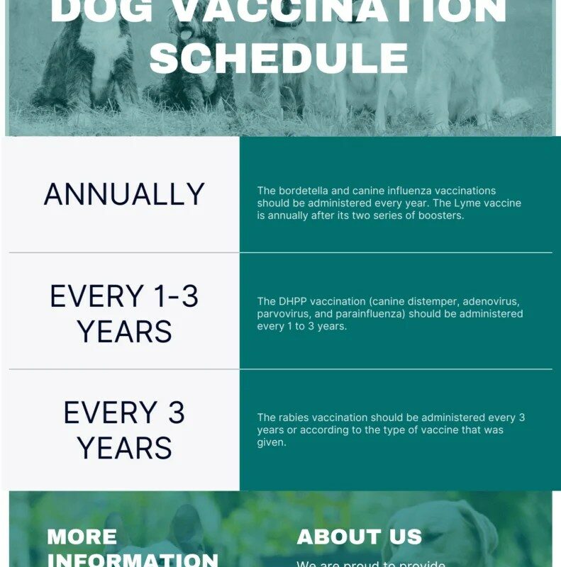 How Much Do Dog Vaccines Usually Cost