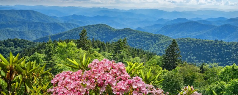 Places To Stay In Gatlinburg Pet Friendly