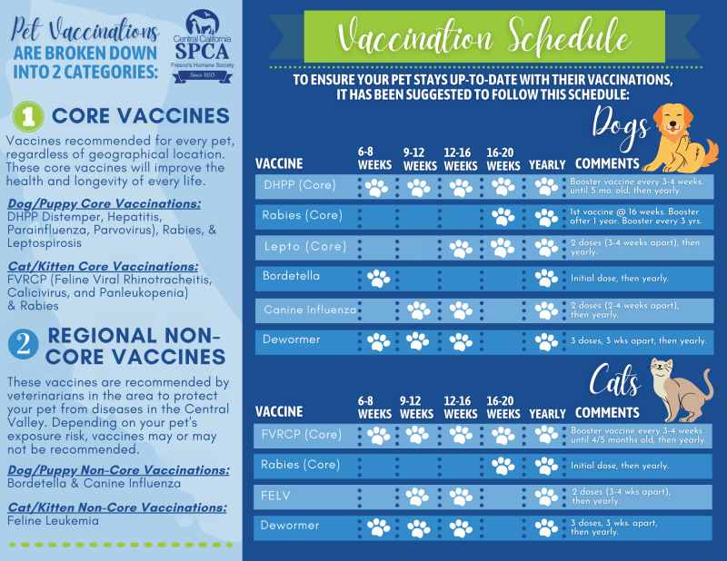 Where To Get Puppy Vaccinations Near Me