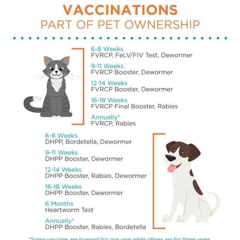 Free Pet Vaccinations Near Me For Dogs
