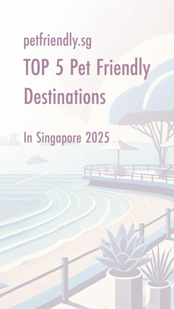 Best Pet Friendly Vacations Near Me