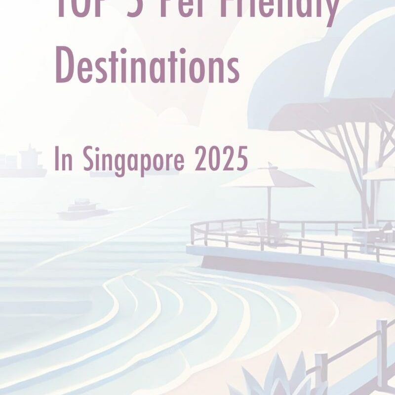 Best Pet Friendly Vacations Near Me