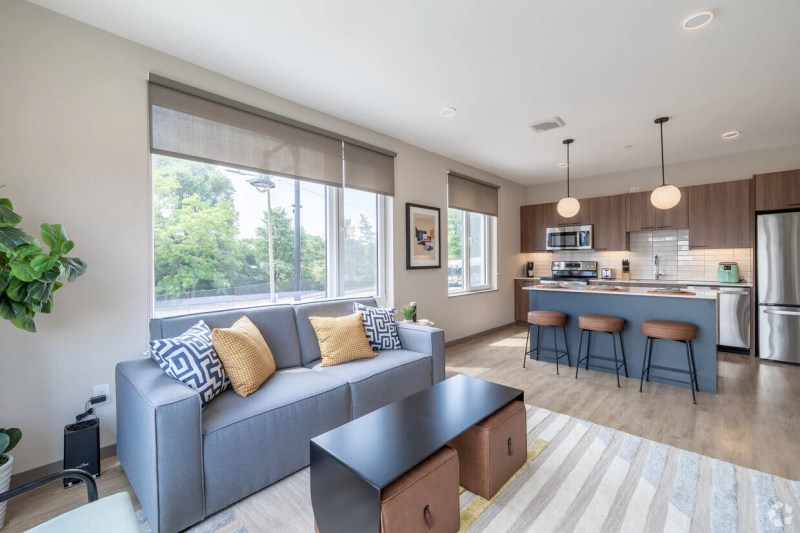 Dog Friendly Apts For Rent Near Me