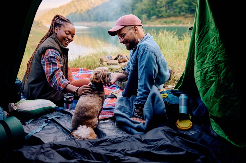 Dog Friendly Cabin Camping Near Me