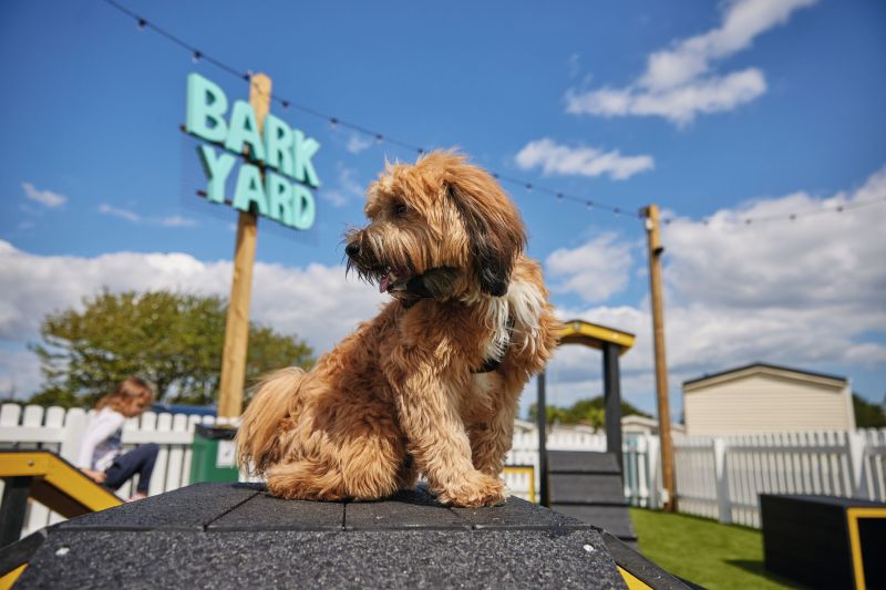 Dog Friendly Holidays Essex