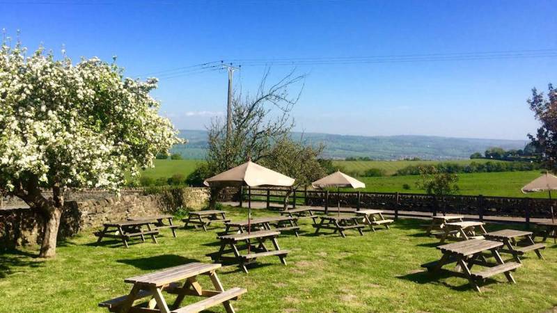Dog Friendly Pubs Near Me Serving Food