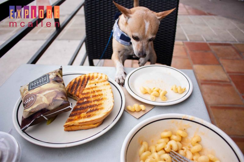 Dog Friendly Restaurants Near Me Breakfast