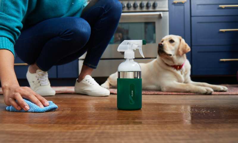Best Dog Friendly Floor Cleaner
