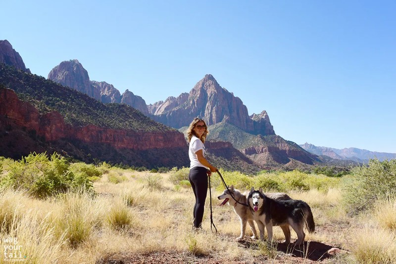 Best Dog Friendly Hikes Utah