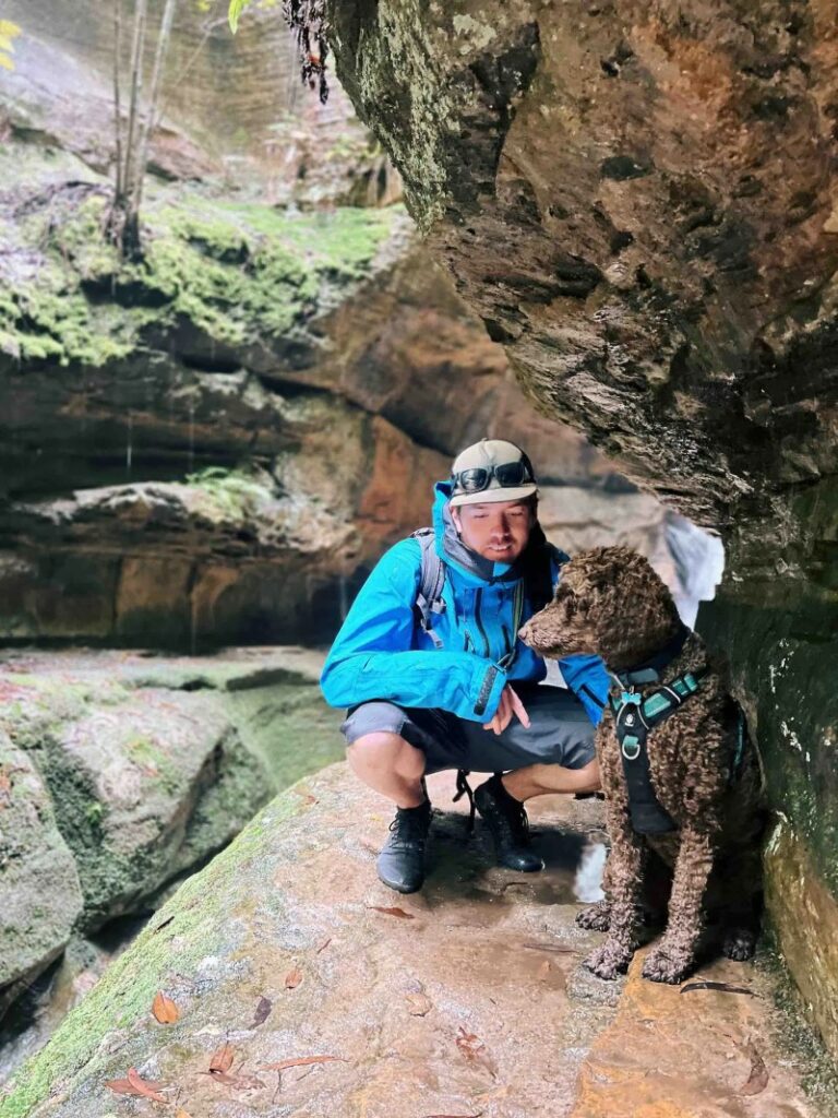 Best Dog Friendly Walks Sydney