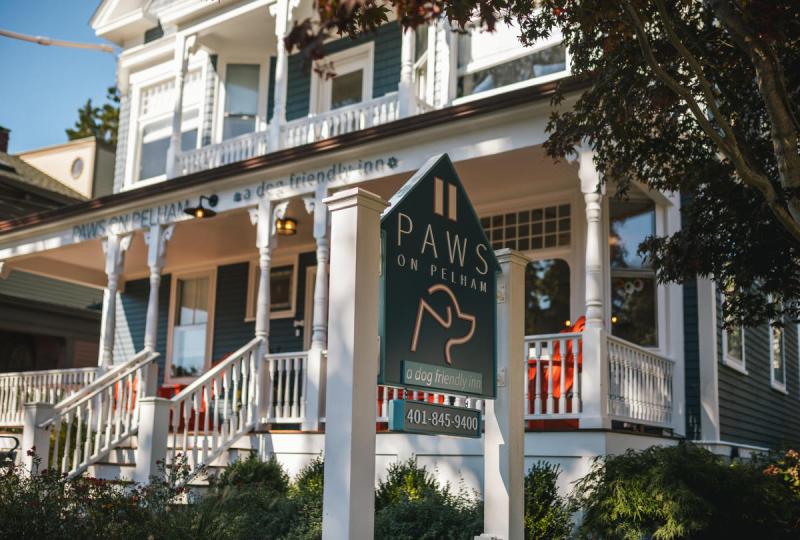 Dog Friendly Christmas Vacations