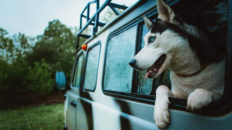 Dog Friendly Holidays France 2023