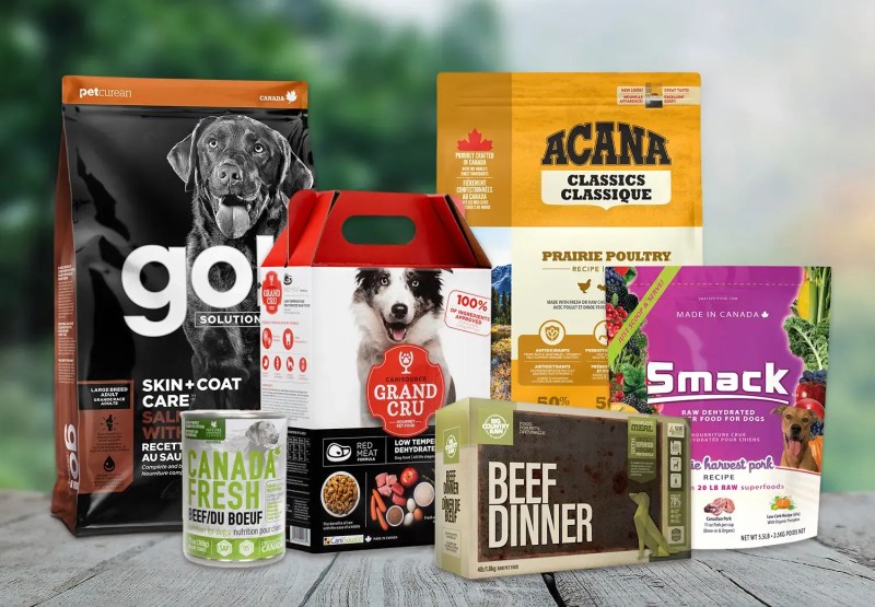 Good Dog Vacations Coupon Code
