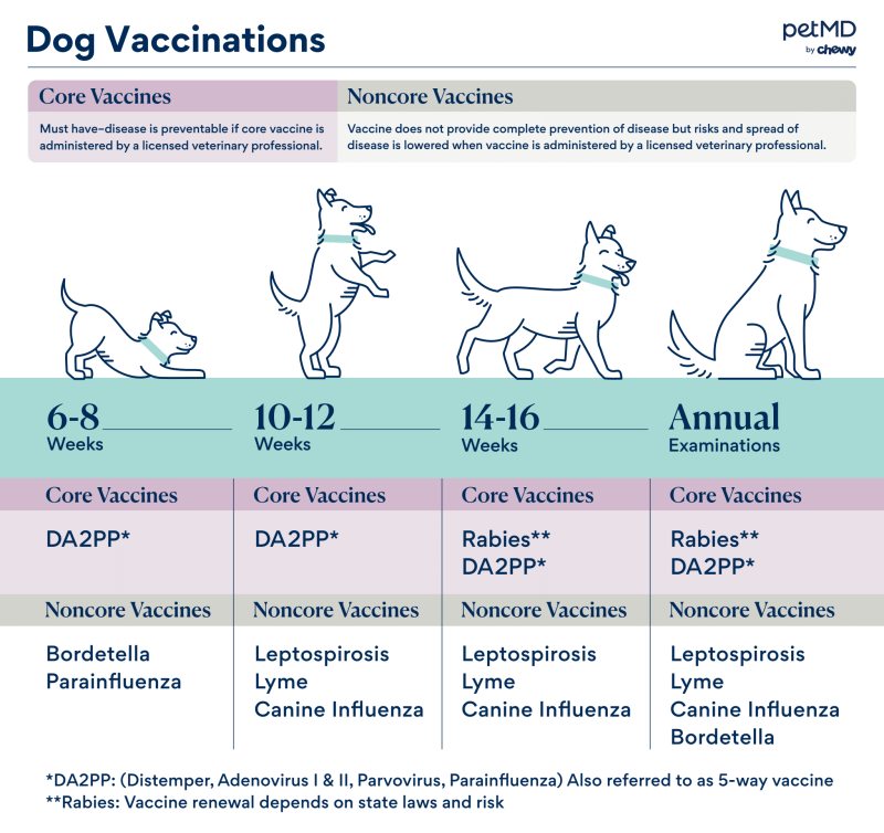 How Much Does It Cost To Get My Dog Shots