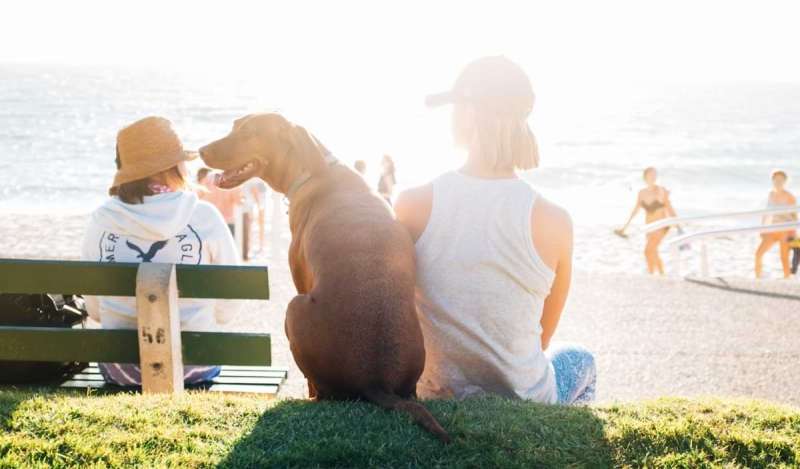 Pet Friendly Beach Vacation Rentals Near Me