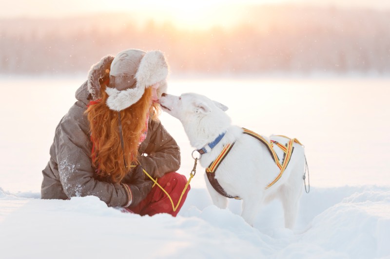 Best Dog Friendly Winter Vacations