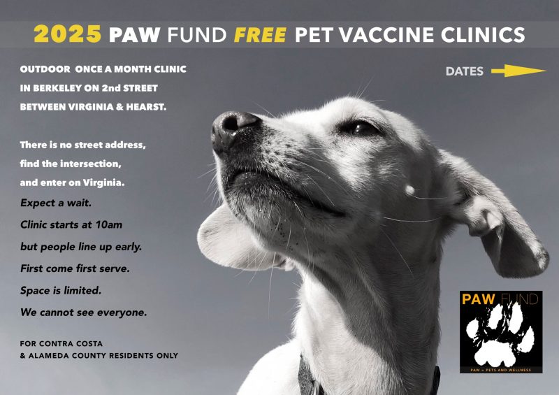 Where Can I Get Free Vaccinations For My Puppy